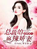 寵婚撩人：總裁的麻辣嬌妻