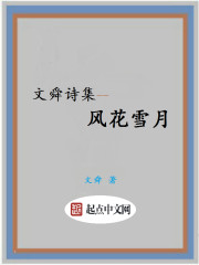 文舜詩集：風花雪月
