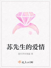 蘇先生的愛情