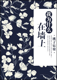 我為什麽在牆上