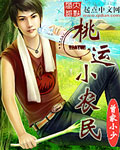 桃運小農民(曾家小少)