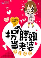 豪門婚寵：拐個胖妞當老婆