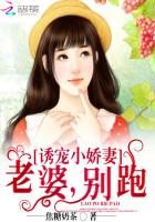 誘寵小嬌妻：老婆，別跑