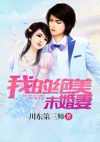 我的絕美未婚妻