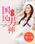 秘愛國民男神