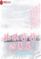 跌跌撞撞的年華