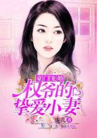 豪門寵婚：權爺的摯愛小妻