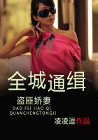 全城通緝：盜匪嬌妻