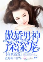 蜜婚霸愛：傲嬌男神深深寵