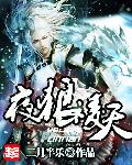 夜狼淩天