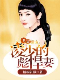 飛來橫寵：淩少的彪悍