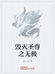 毀滅聖尊之無極 毀滅聖尊之無極