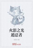 火影之光遁忍者