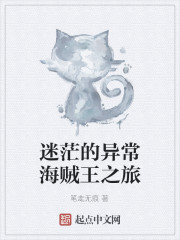 迷茫的異常海賊王之旅 迷茫的異常海賊王之旅