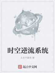 時空逆流係統