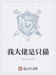 我大佬是隻貓 我大佬是隻貓