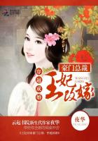 王妃改嫁豪門總裁：穿越成婚