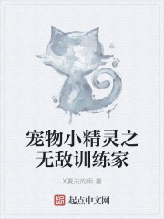 寵物小精靈之無敵訓練家 寵物小精靈之無敵訓練家