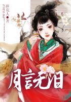 月言無淚