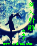 劍入射雕