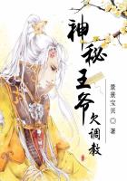 神秘王爺欠調教
