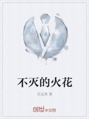 不滅的火花 不滅的火花