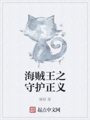 海賊王之守護正義