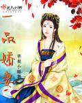 一品嬌妻 一品嬌妻