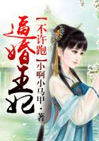 逼婚王妃不許跑