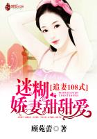 追妻108式：迷糊嬌妻甜甜愛