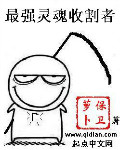 最強靈魂收割者 最強靈魂收割者