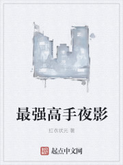 最強高手夜影