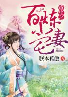 重生之百煉小宅妻