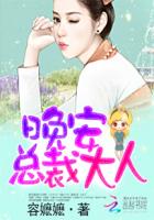 晚安,總裁大人! 晚安,總裁大人!