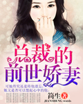 總裁的前世嬌妻 總裁的前世嬌妻