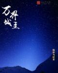 萬界城主 萬界城主
