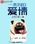 一條狗的愛情 一條狗的愛情