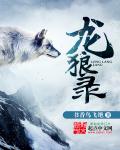 龍狼錄 龍狼錄