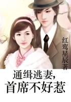 通緝逃妻,首席不好惹 通緝逃妻,首席不好惹