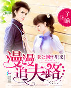 漫漫追夫路:老公到懷裏來 漫漫追夫路:老公到懷裏來