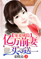 寵妻成癮：億萬前妻買一送二