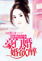 狼性冷少：豪門婚婚欲醉