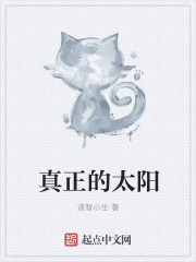 真正的太陽 真正的太陽