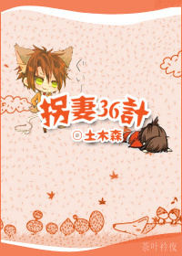 拐妻36計 拐妻36計