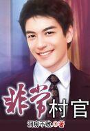 非常村官 非常村官