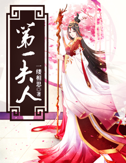 第一夫人 第一夫人