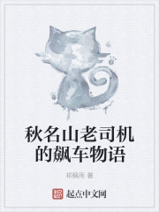 秋名山老司機的飆車物語