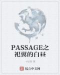 PASSAGE之祀翼的白晝