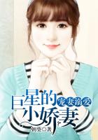寵妻溺愛，巨星的小嬌妻