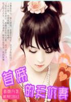 契約惡妻：首席的天價妻